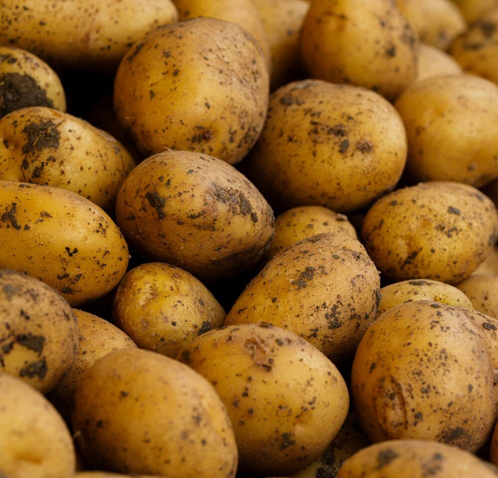 Wexford Queen Potatoes