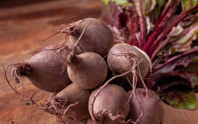 Beetroot and Celariac Soup