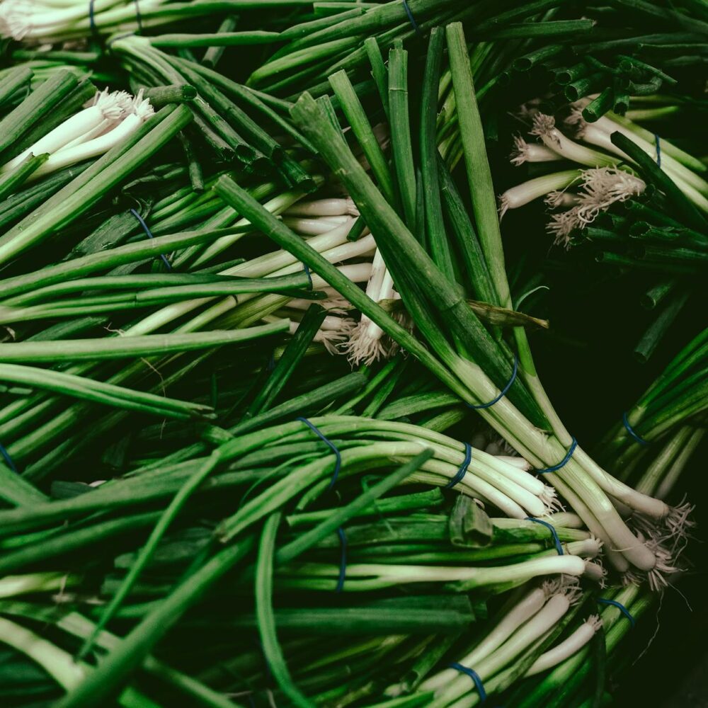 Spring Onion