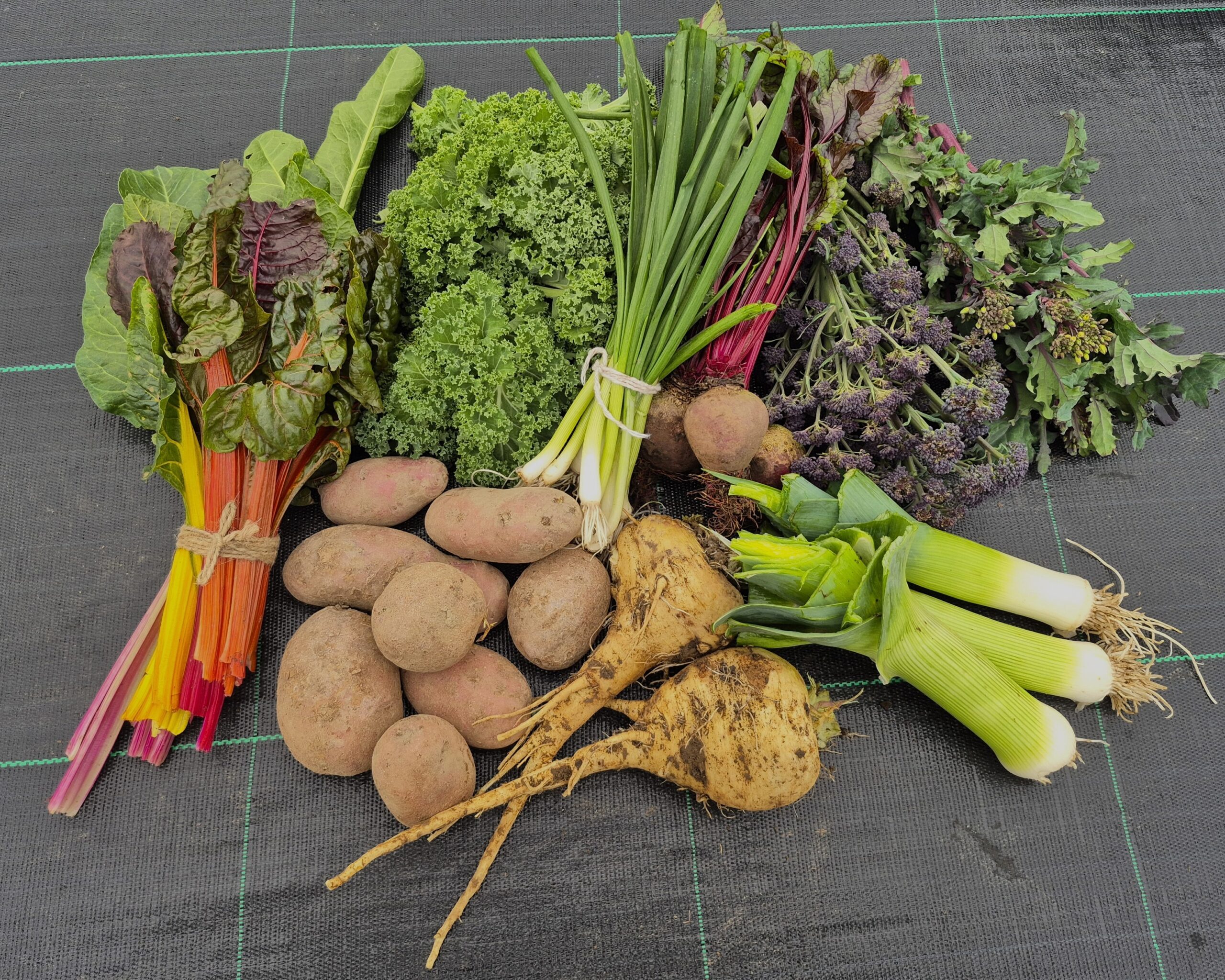 Veggie Box Autumn Subscription