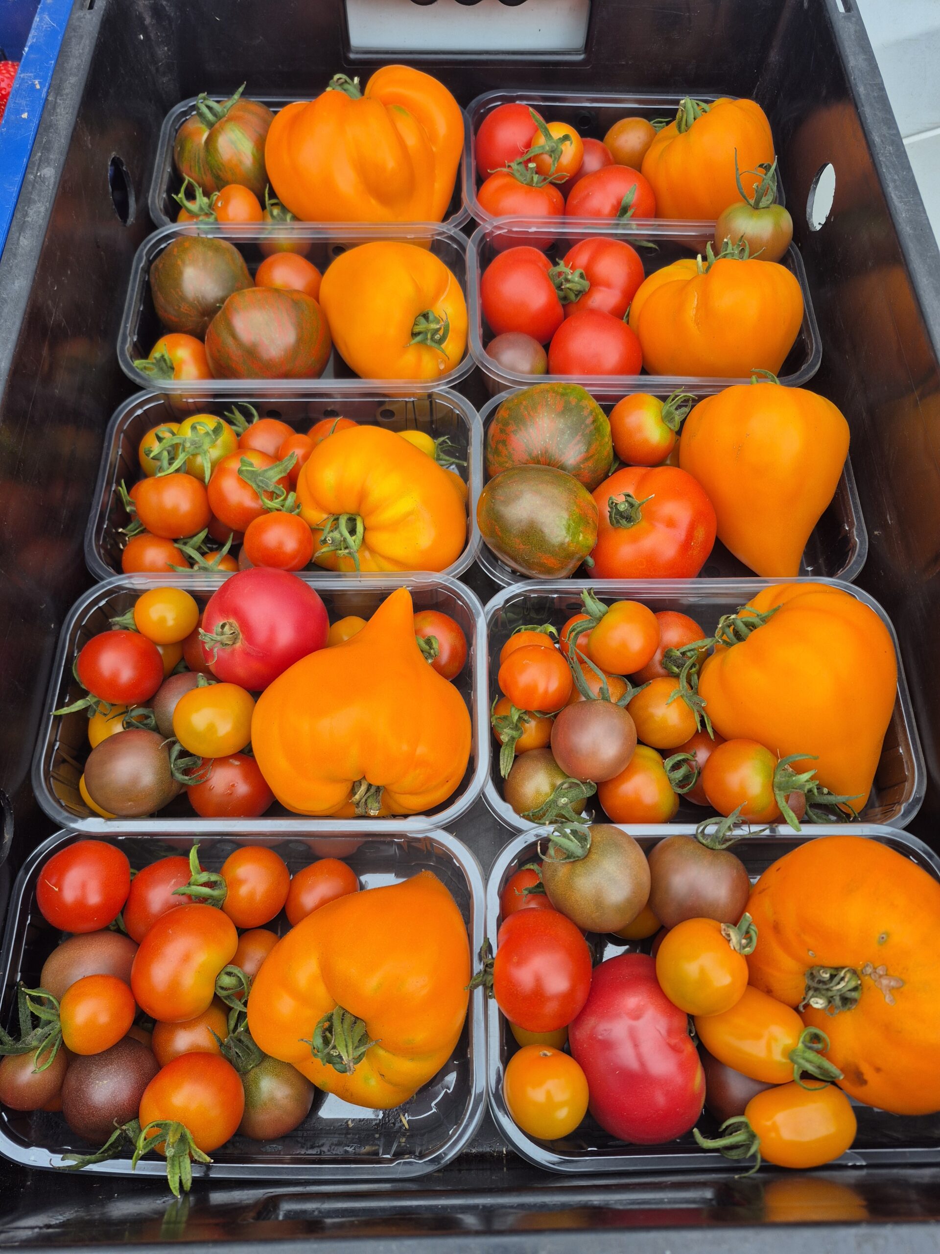 1kg Heirloom Tomatoes