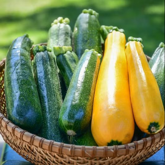Green & Yellow Courgettes